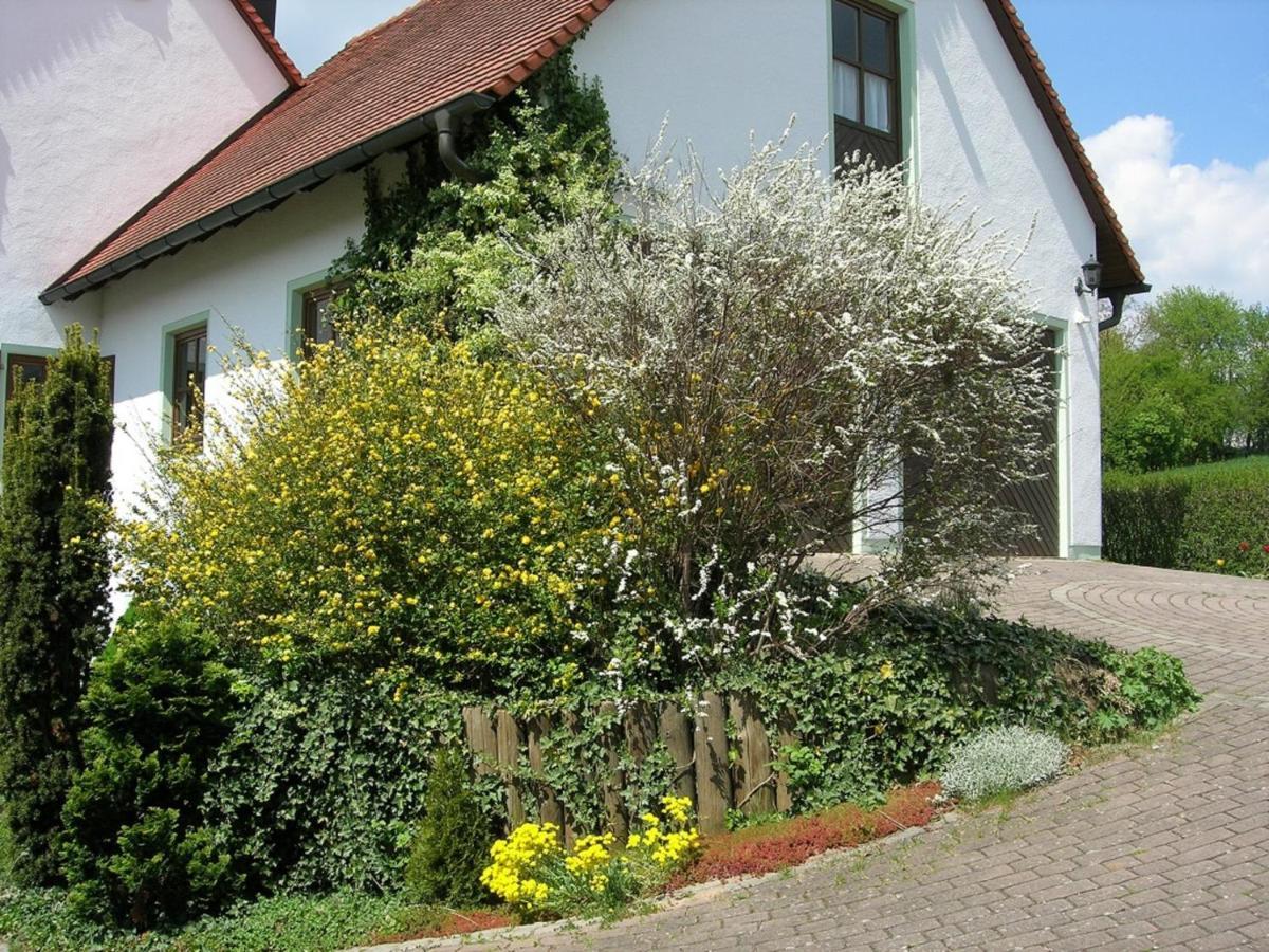 Pension Rosengaertchen Абсберг Экстерьер фото